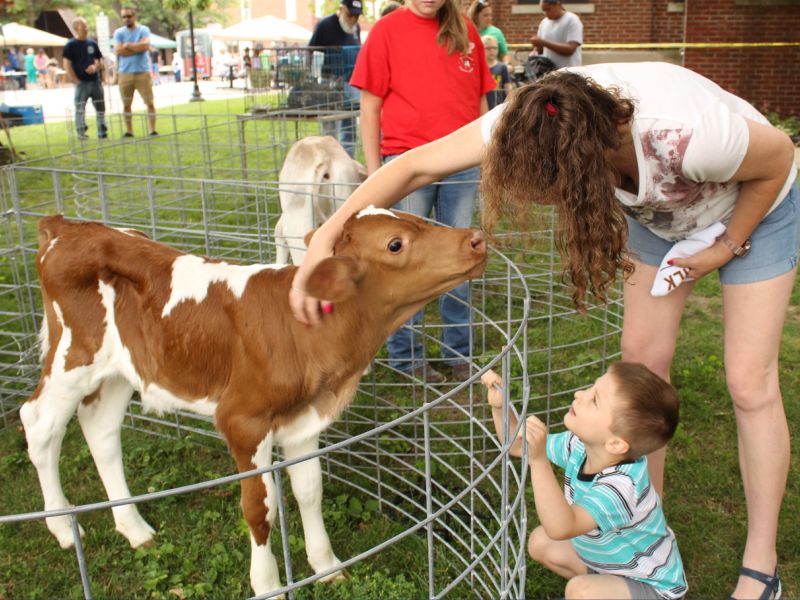 Greenville Dairy Days