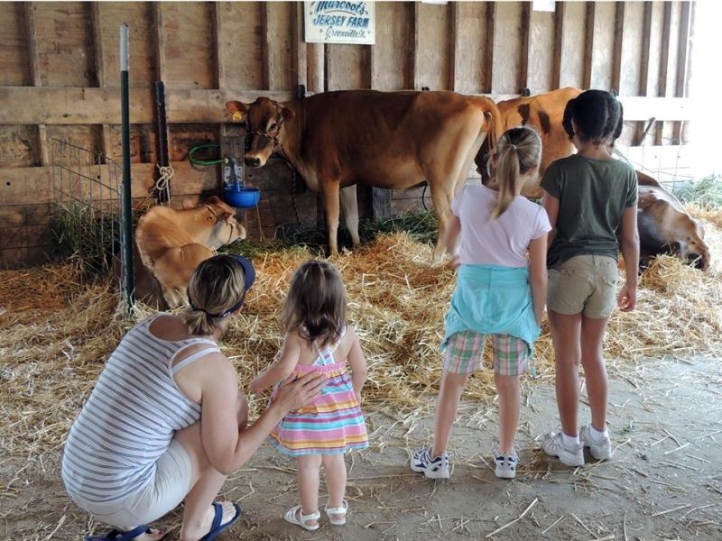 Marcoot Jersey Dairy & Creamery